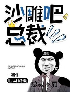 沙雕吧,总裁!